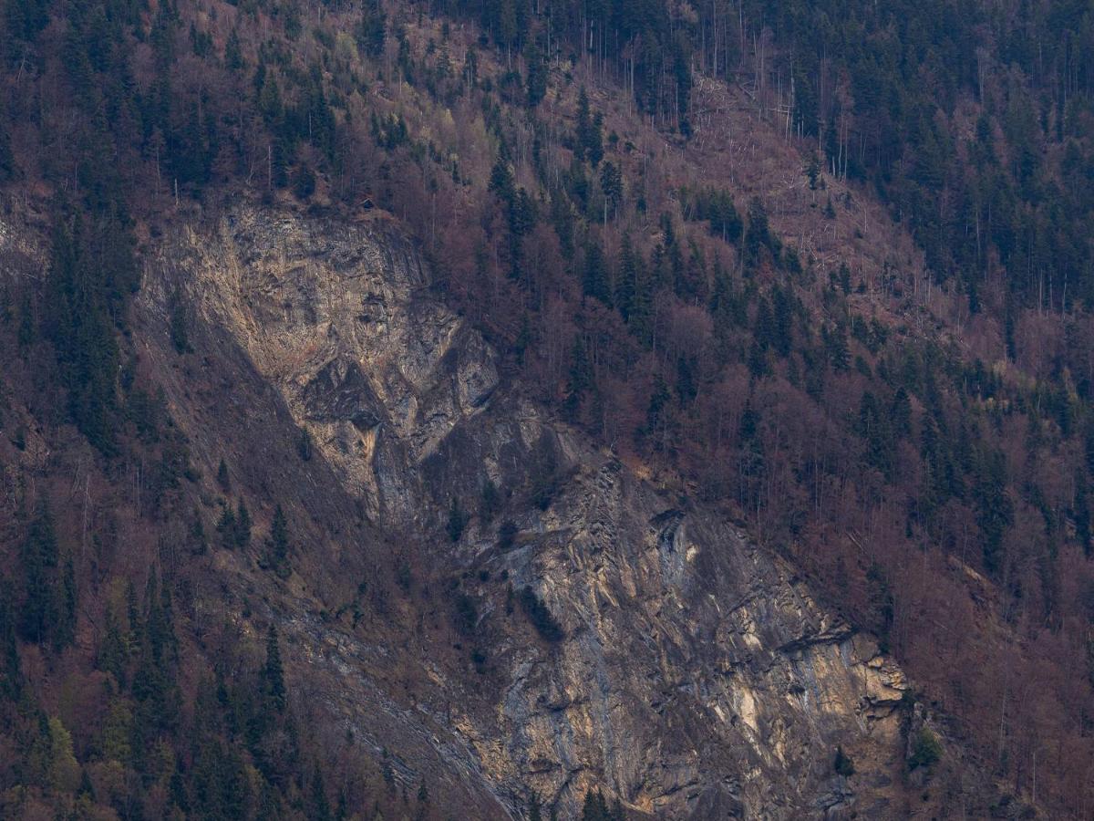 그체이와일러 Baerghaesli Im Beo Als Basis Im Wintersportgebiet 아파트 외부 사진
